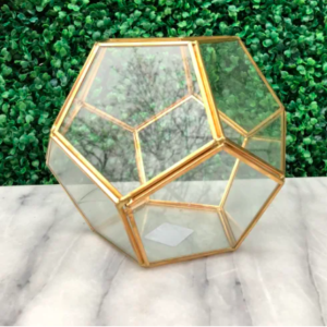 Gold Terrarium